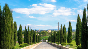 Tuscan villa entrance with pine trees lining a long driveway.