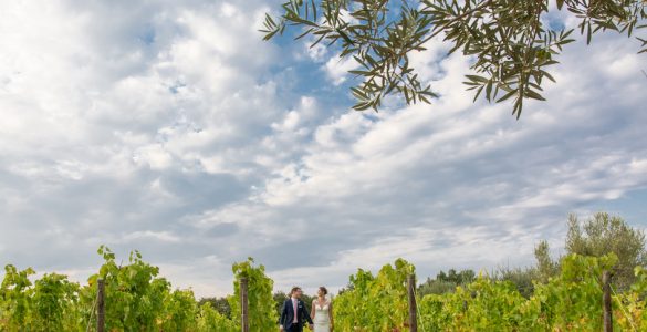A bride and groom walking through a vineyard on their wedding day.