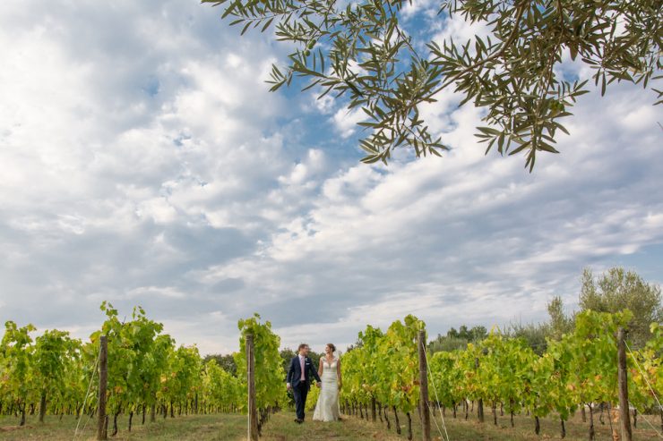 A bride and groom walking through a vineyard on their wedding day.